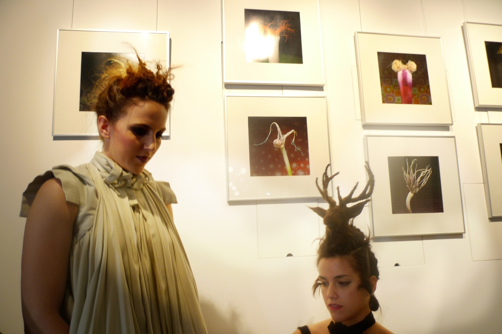 Perruqueria Anna Ferrer-Barcelona 2015