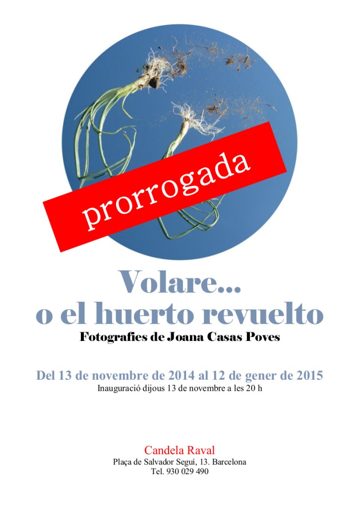 Volare_Candela_Cartell 2_prorrogada
